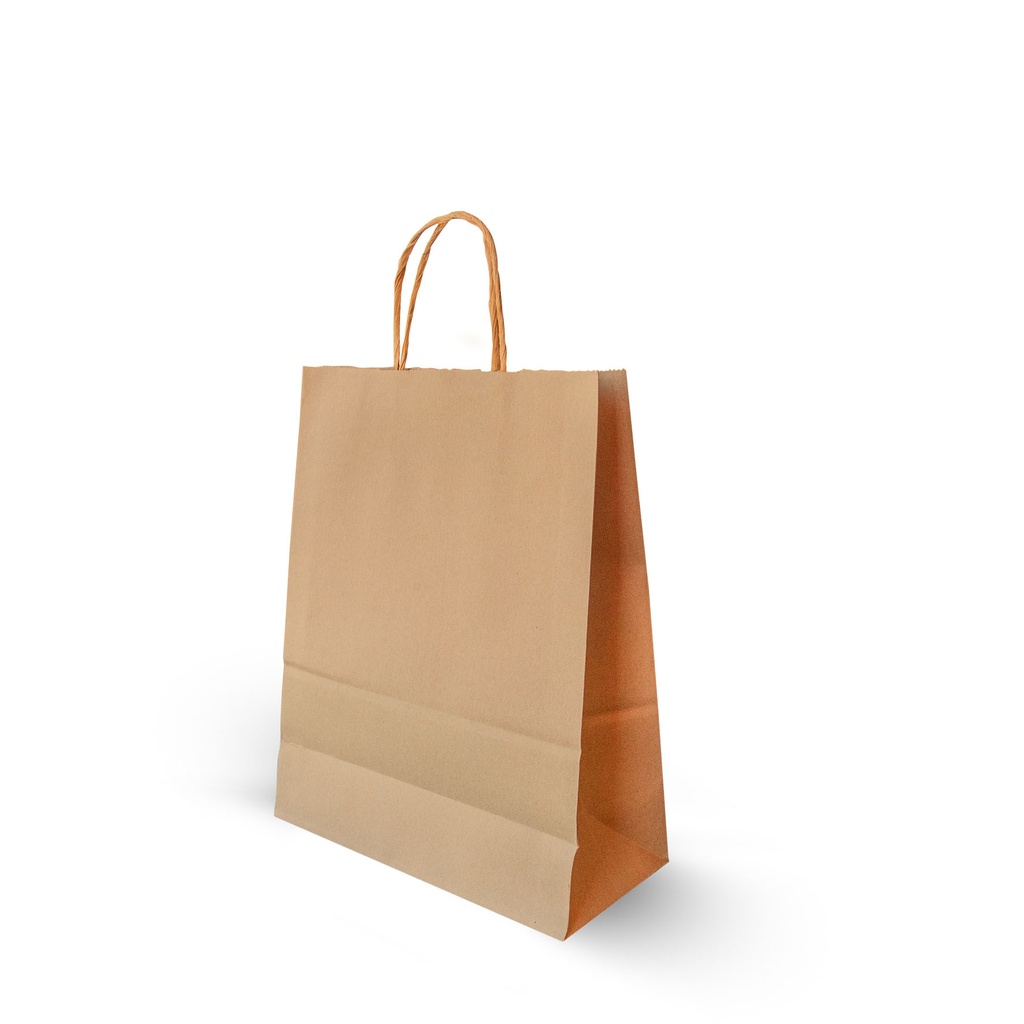 Medium paper bag kraft